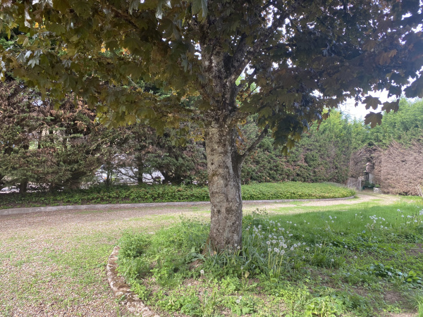 Offres de vente Maison Rouy 58110